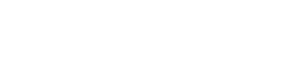 Navarro